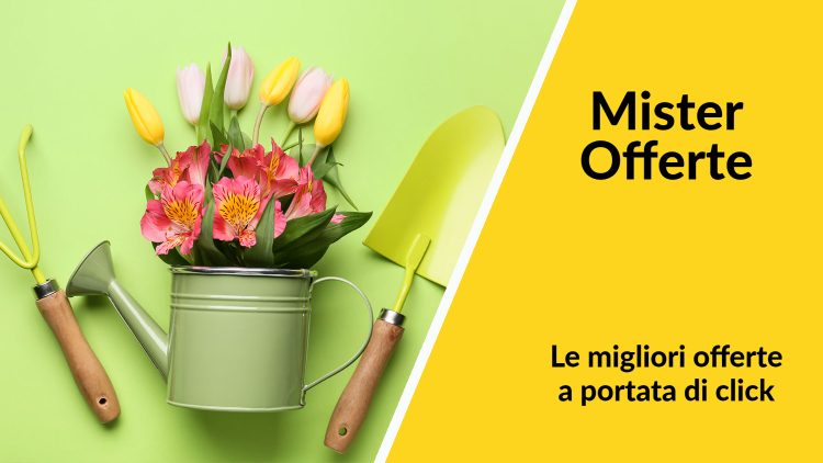 Giardinaggio attrezzi Amazon Mister Offerta